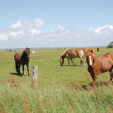 Three-bedroom In Blåvand